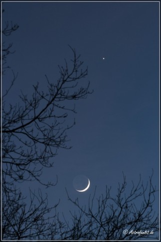 Venus und Mondsichel