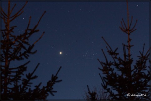 Die Venus am Abendhimmel des 13. April 2015