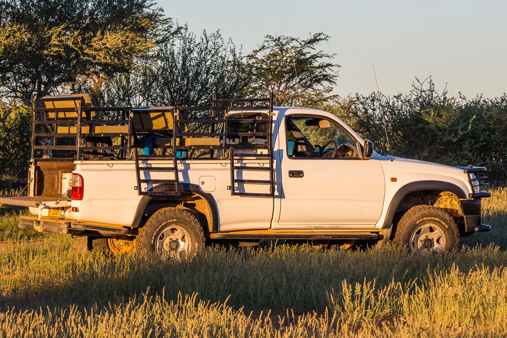 Safari Pickup