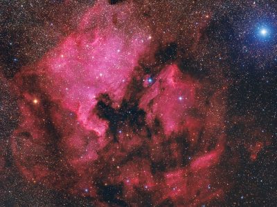 NGC7000