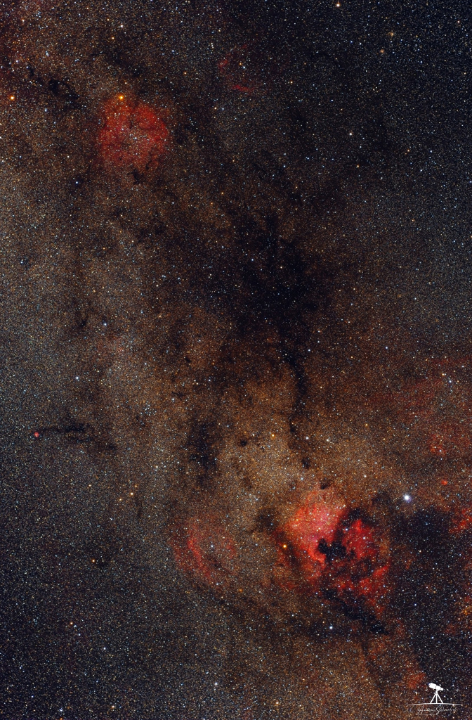 Nördlicher Cygnus