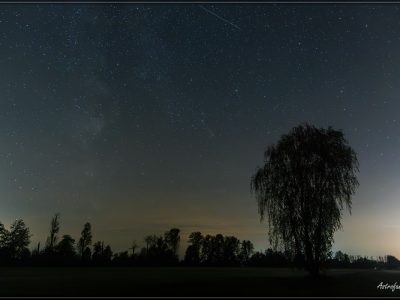 comp_IMG_4544-Verbessert-NR